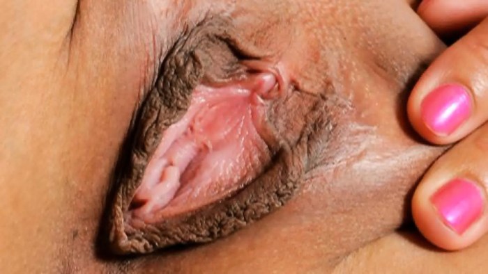 Women's pussies close -up