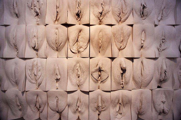 Women's vagina from the inside