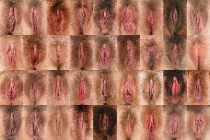 100 female vulv laura dodsworth
