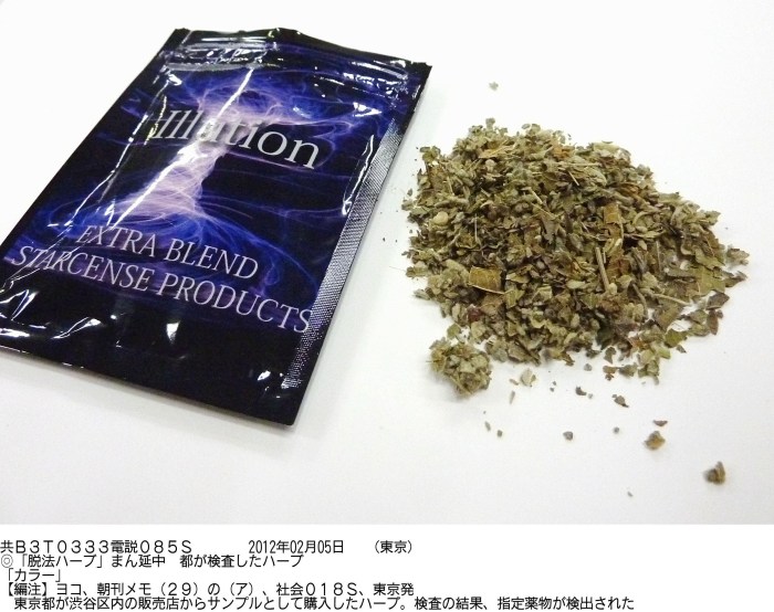 Japanese show show guess your husband