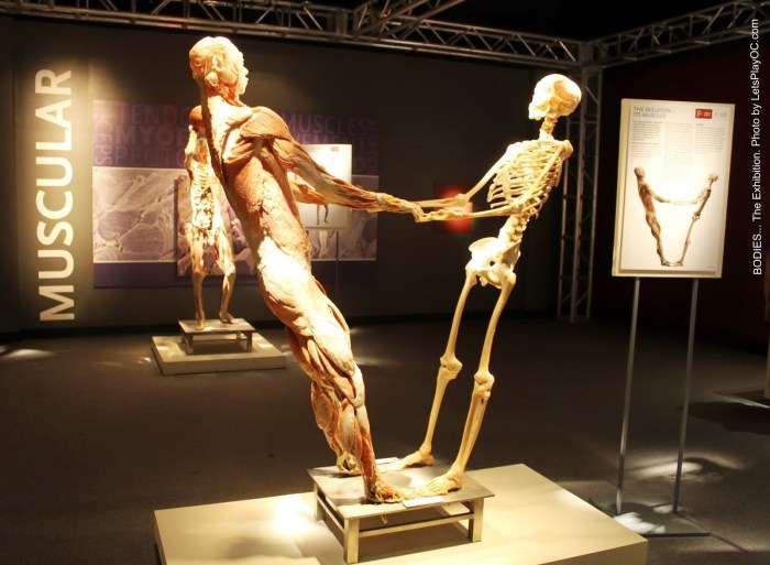 Emily Scott / Emily Scott player