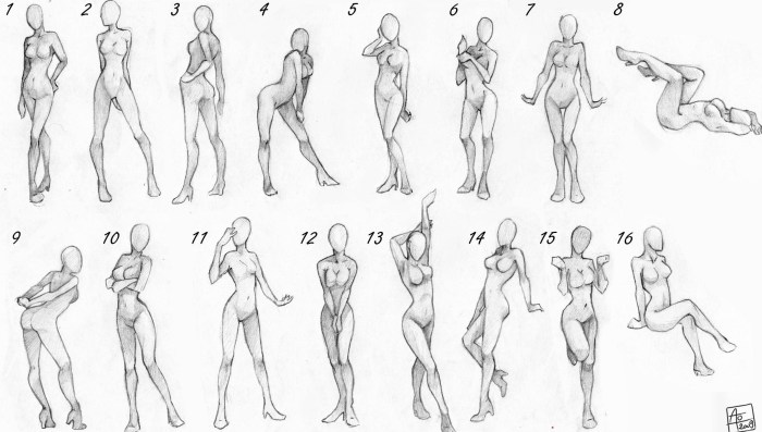 Anatomy of the human back reference