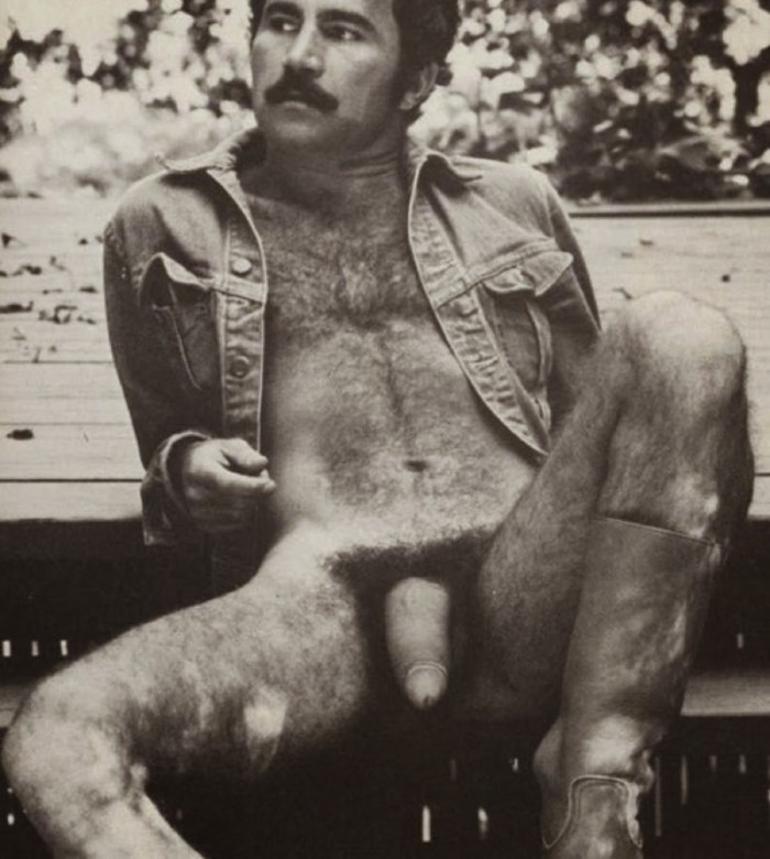 Naked guys retro hairy