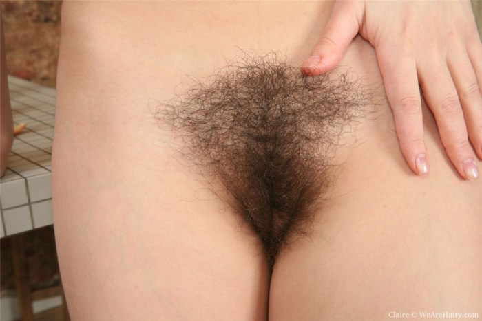 Beautiful hairy female pubis
