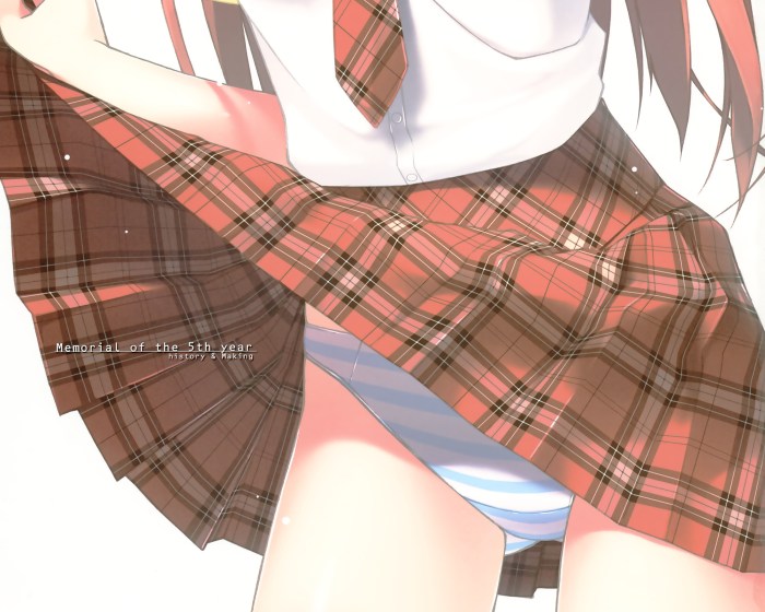 Anime skirt
