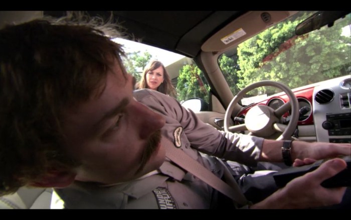 The girl sucks in the car