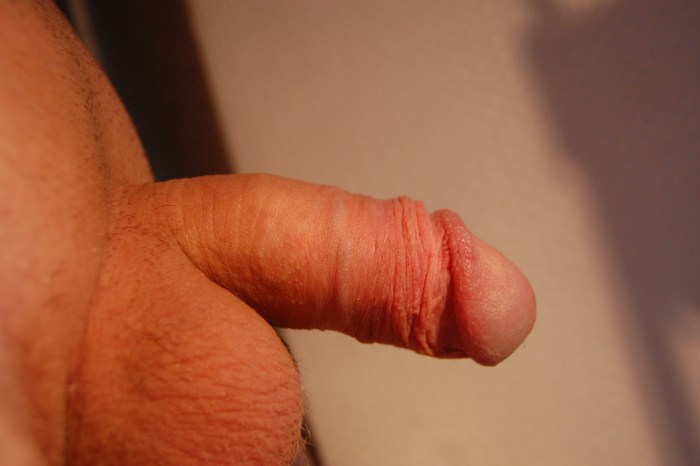 Huge cock without erection