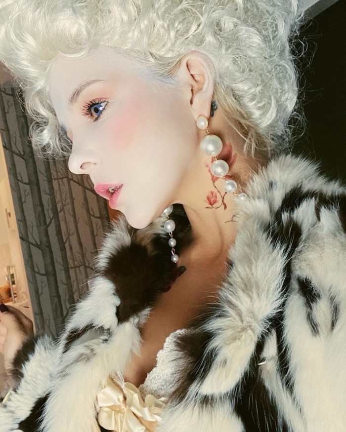 Furry Fox Reference Line