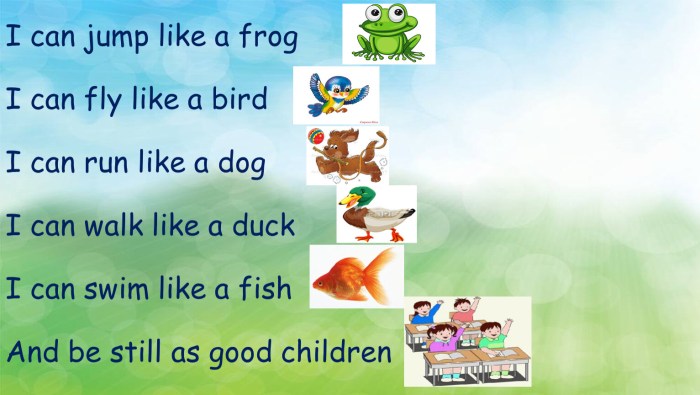 English Write the Sentences