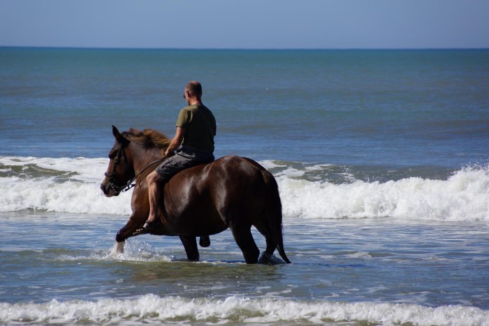 Beautiful girls on the beach