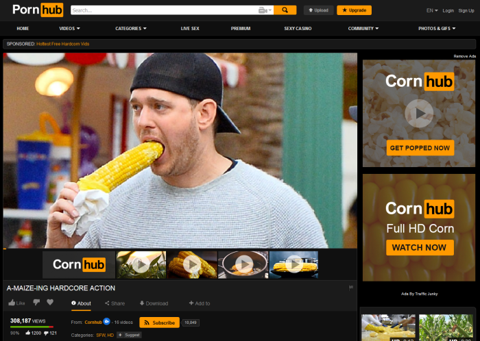 Look Read and Write Grade 4