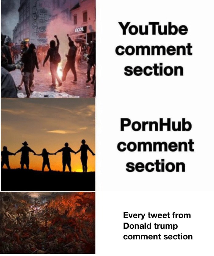 English grade 3 Complete the Sentences with Some, Any