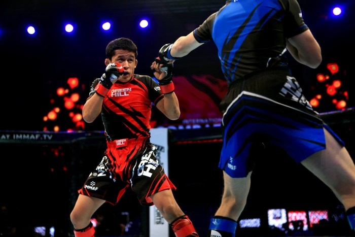 Khabib Nurmagomedov Champion UFC