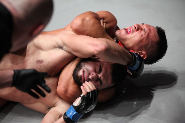 Elizabeth Phillips MMA breast