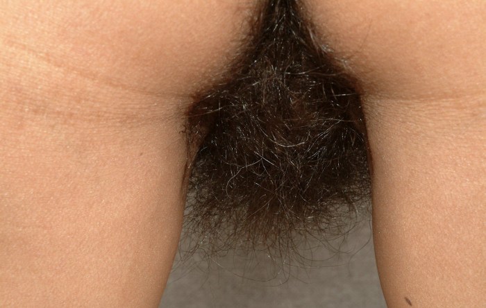 Girls with hairy pussies
