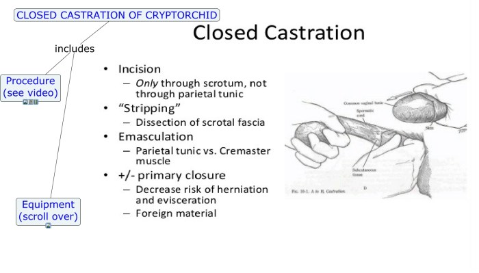 Wife with Negro Husband Rogonets