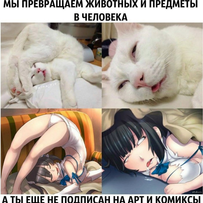 Catwoman Selina Kyle