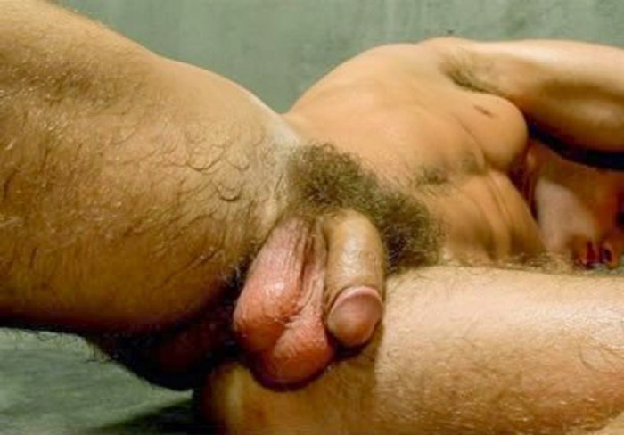 Little hairy dick