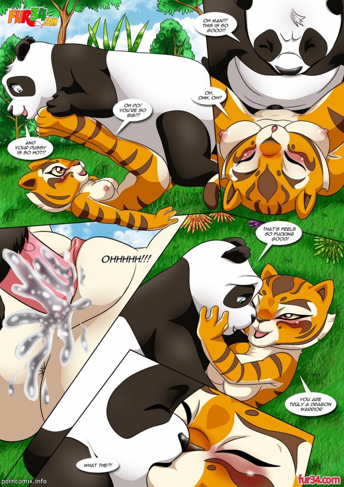 Kung Fu Panda XXX Comics