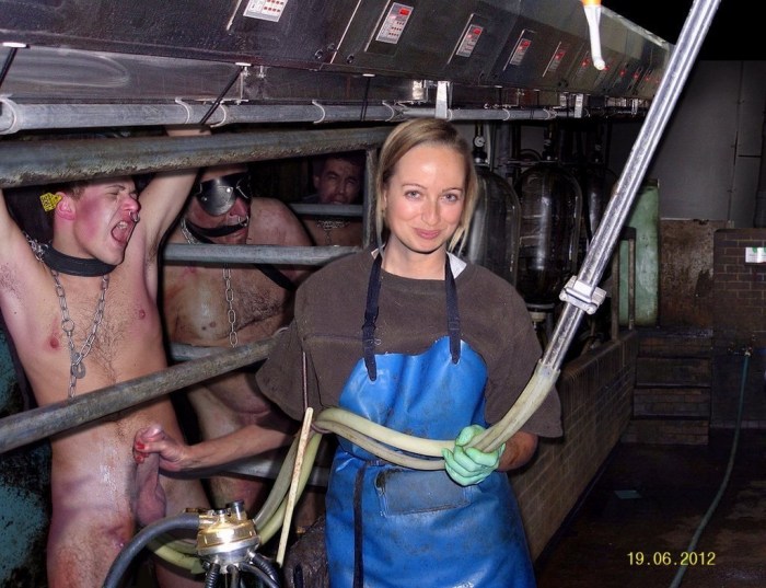 Milking men on a farm