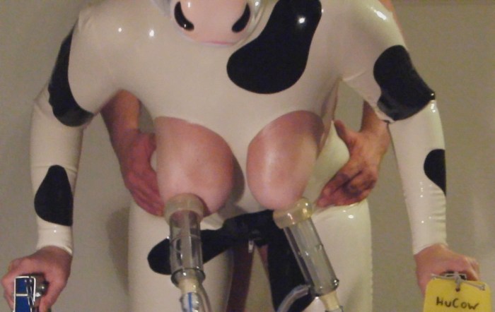 Girl in the costume of the cow BDSM
