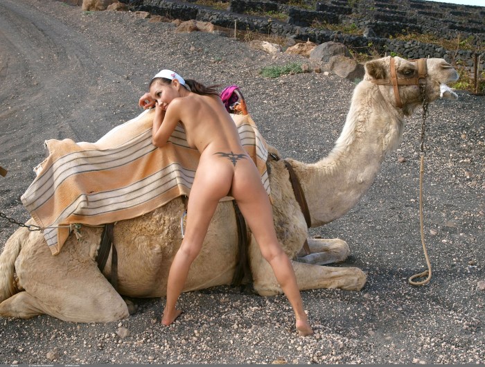 Mongolian naked with a camel