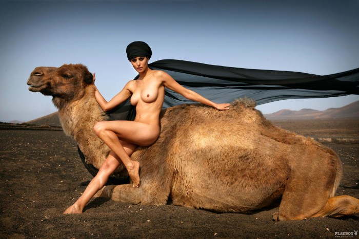 Naked with a camel in the desert