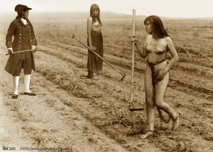 BDSM Naked slaves on plantations