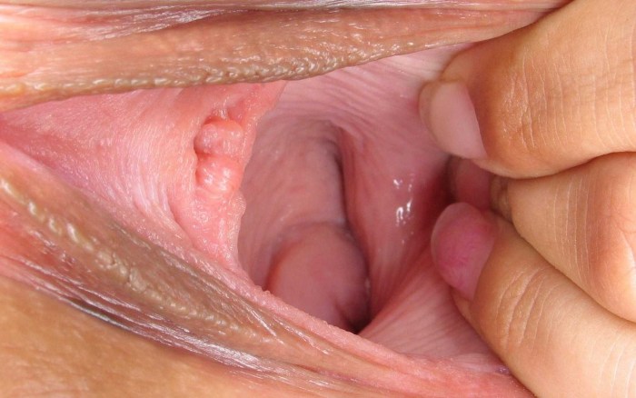 Women's vaginas from the inside