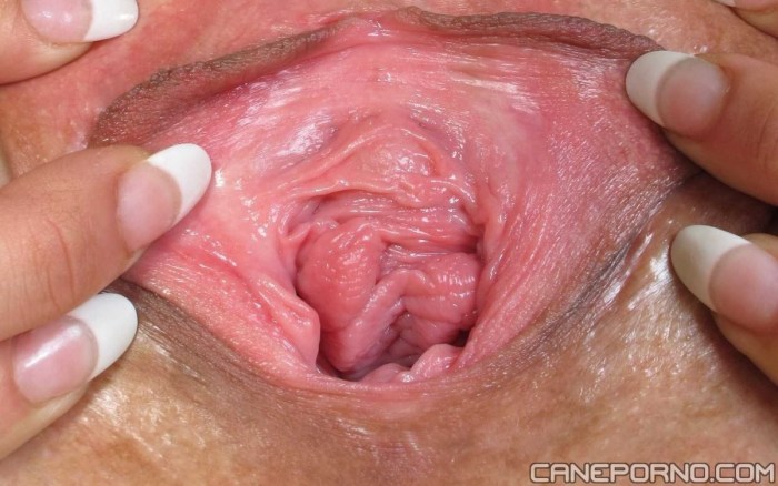 Inside the vagina is large