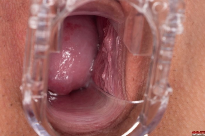Shooting inside the vagina
