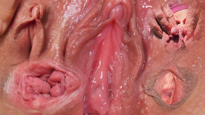 Inside the vagina is large