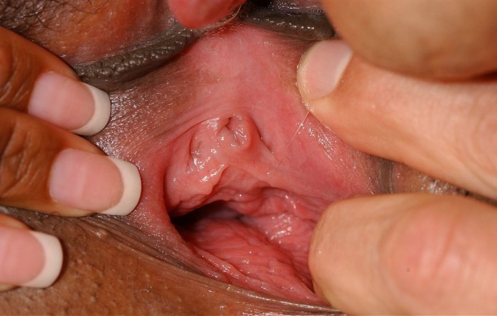 Healthy vagina from the inside