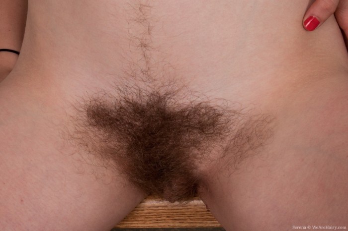 Very hairy female pubis