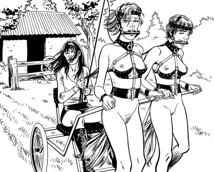 Bondage Pondley comics