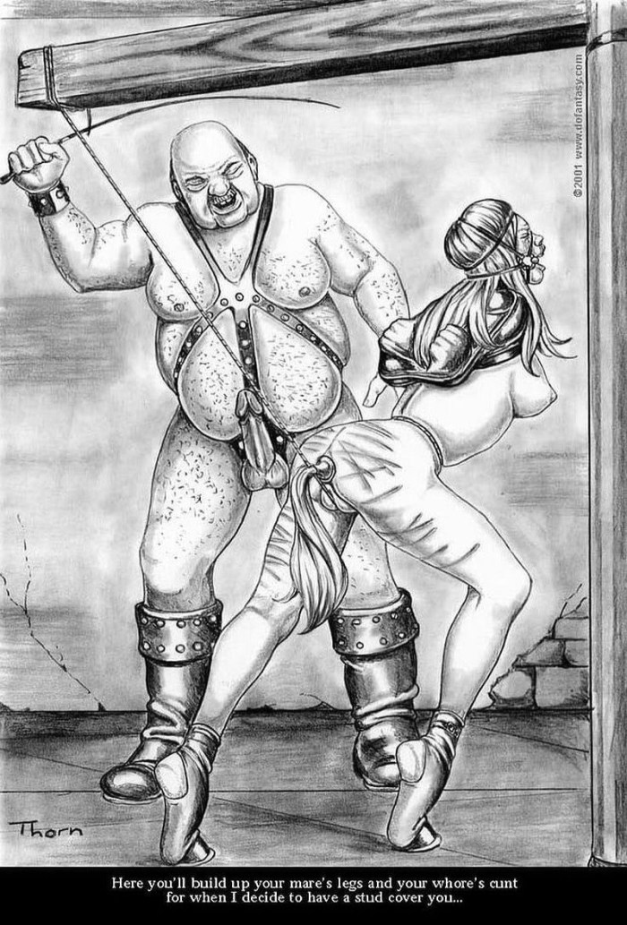 Anal torture comics BDSM