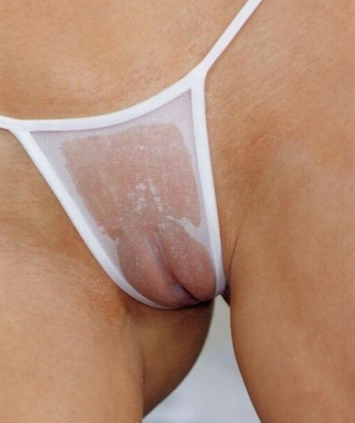 Women's pussies in transparent panties