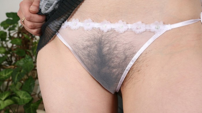 Hairy pussies in transparent panties