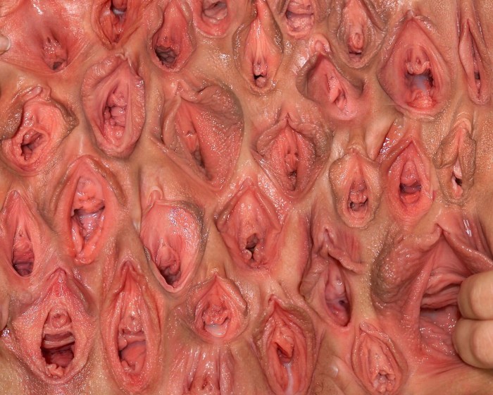 The most beautiful vagina