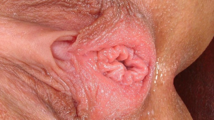The beautiful vagina is large