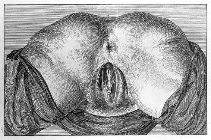 Drawn crotch