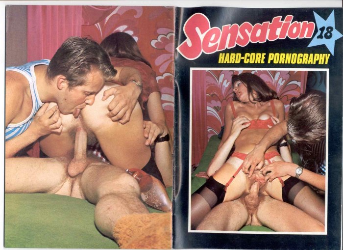 Porn journals of the 1980s