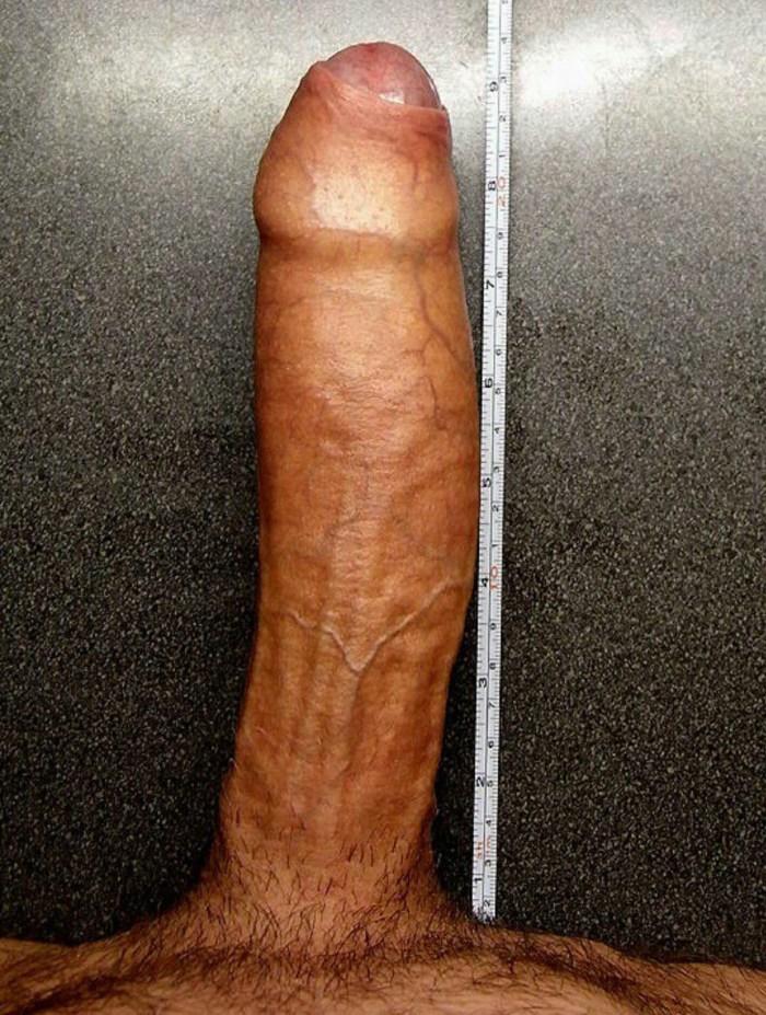 Member 23 cm